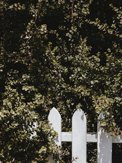 The Importance of Professional Fence Installation